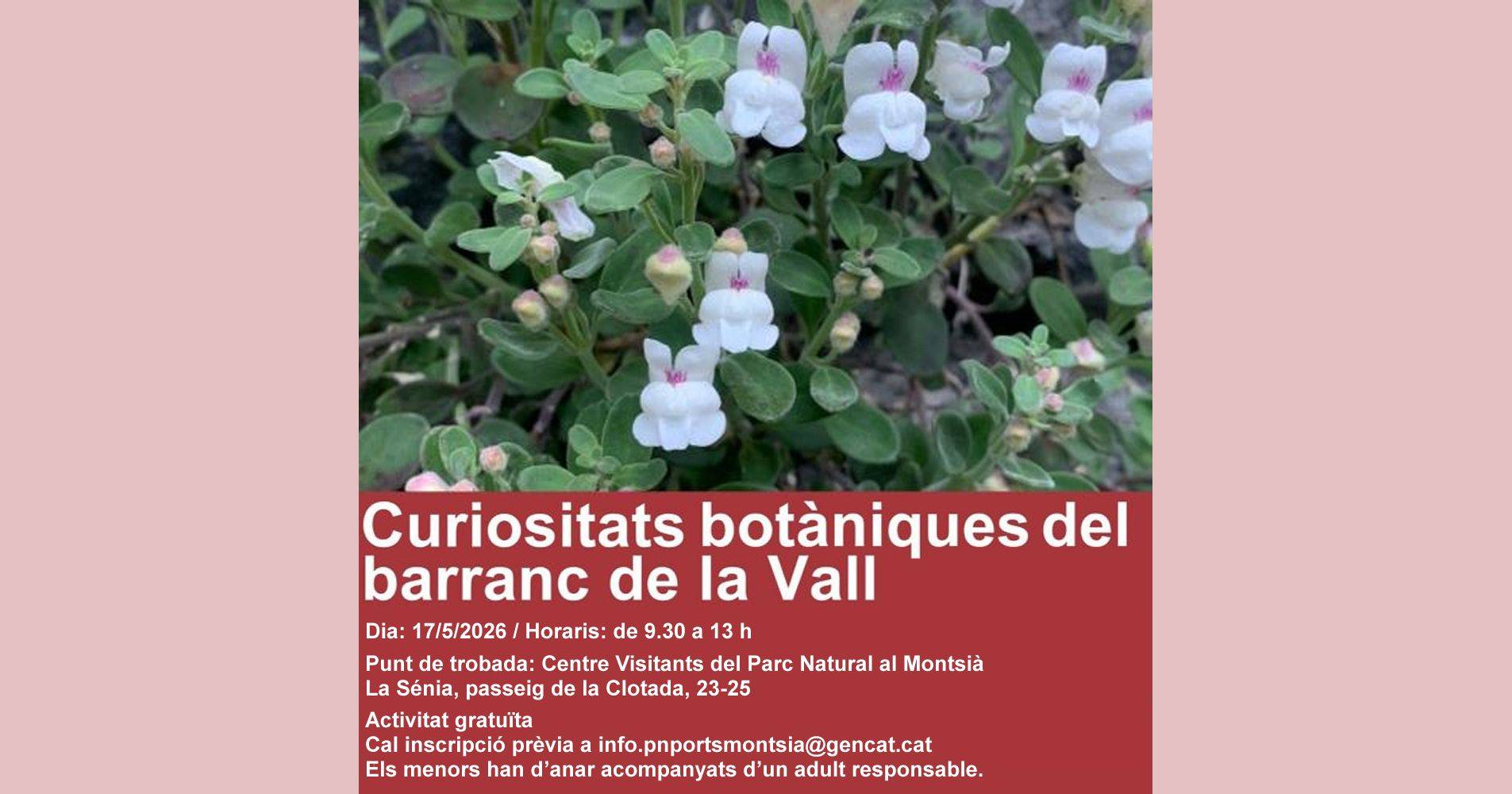 Sortida: �Curiositats bot�niques del barranc de la Vall�