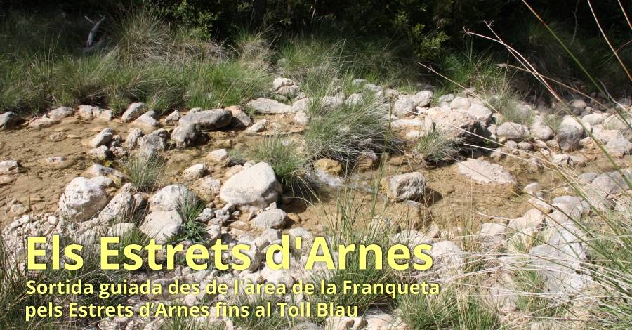 Els Estrets d&rsquo;Arnes