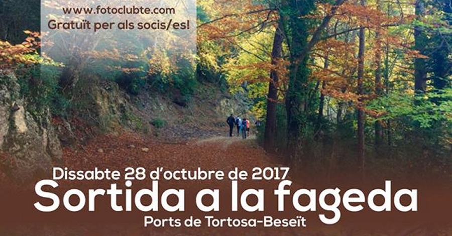 Salida a la hayeda de los Ports