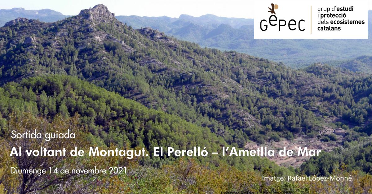 Salida guiada: Alrededores de Montagut. El Perell� � l�Ametlla de Mar