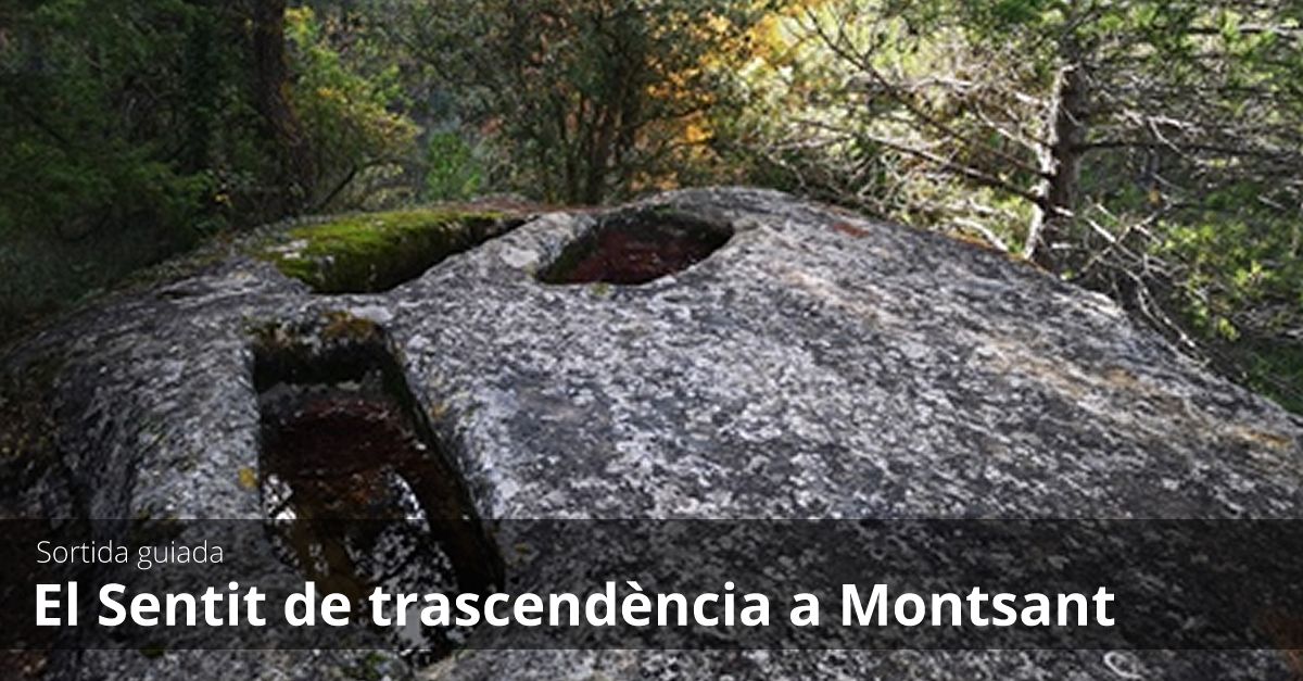 Sortida guiada: El Sentit de trascend�ncia a Montsant