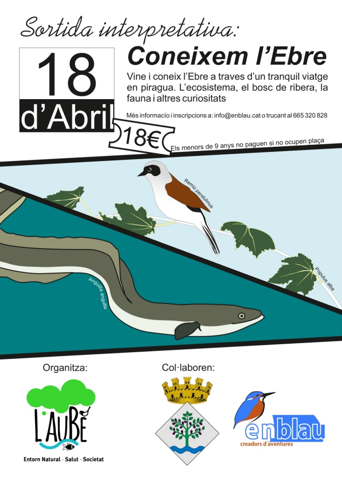 L&rsquo;associaci� ambiental l&rsquo;Aube organitza la sortida interpretativa Coneixem l&rsquo;Ebre | EbreActiu.cat, revista digital d&rsquo;oci actiu | Terres de l&rsquo;Ebre ...