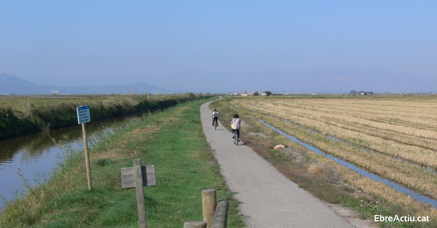 La ruta de les llacunes. Sortida en bicicleta per descobrir les basses de l&rsquo;Encanyissada i la Tancada