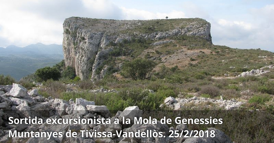Sortida excursionista a la Mola de Genessies (Muntanyes de Tivissa-Vandellòs) Sortida excursionista a la Mola de Genessies (Muntanyes de Tivissa-Vandellòs)