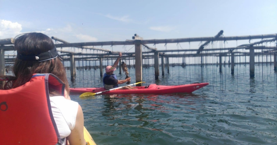 Ruta a las mejilloneras de la bahía del Fangar con Riu a l’Ebre Ruta a las mejilloneras de la bahía del Fangar con Riu a l’Ebre