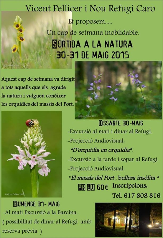 Sortida a la natura per conèixer les orquídies del Port Sortida a la natura per conèixer les orquídies del Port