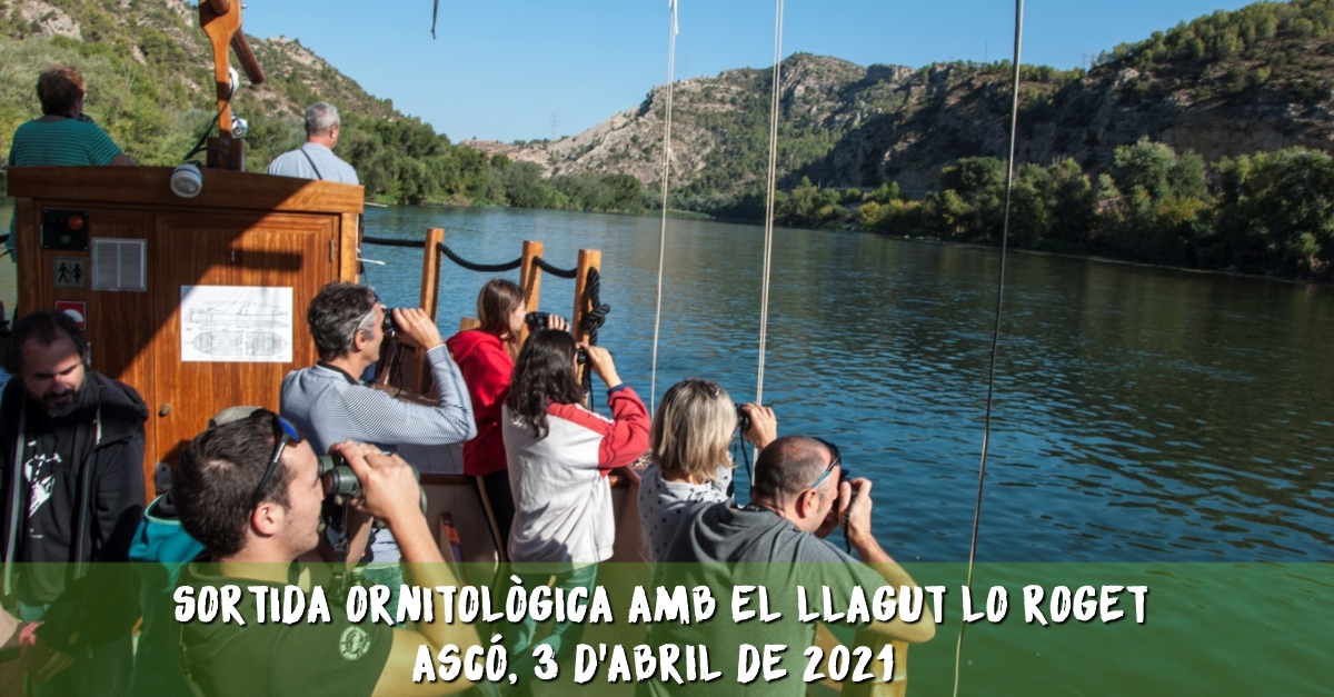 Sortida ornitol�gica amb el llagut Lo Roget