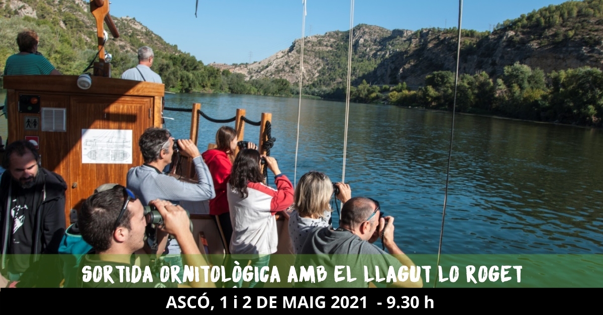 Sortida ornitol�gica amb el llagut Lo Roget 