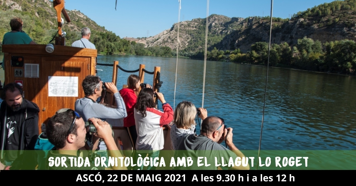 Sortida ornitol�gica amb el llagut Lo Roget 
