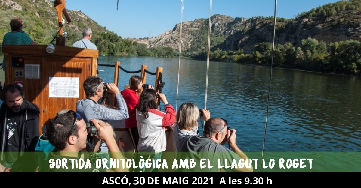 Sortida ornitol�gica amb el llagut Lo Roget 