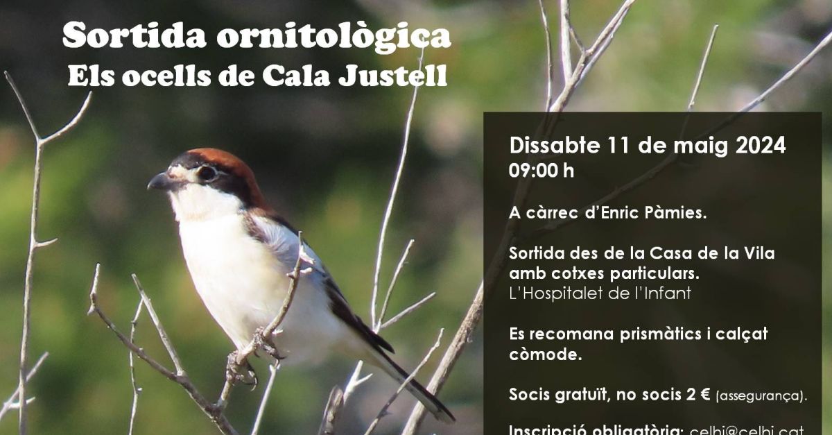 Salida ornitol�gica a Cala Justell 