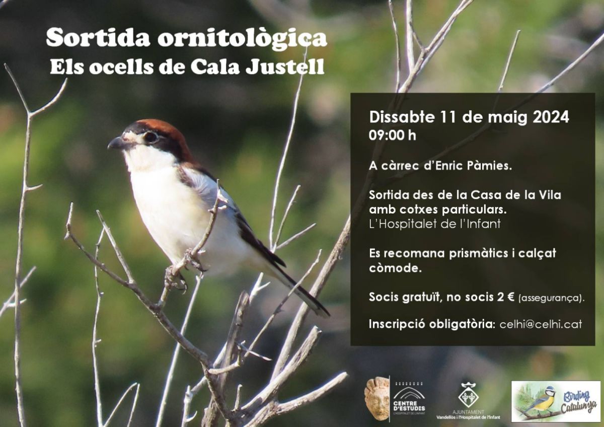 Sortida ornitològica a Cala Justell Sortida ornitològica a Cala Justell