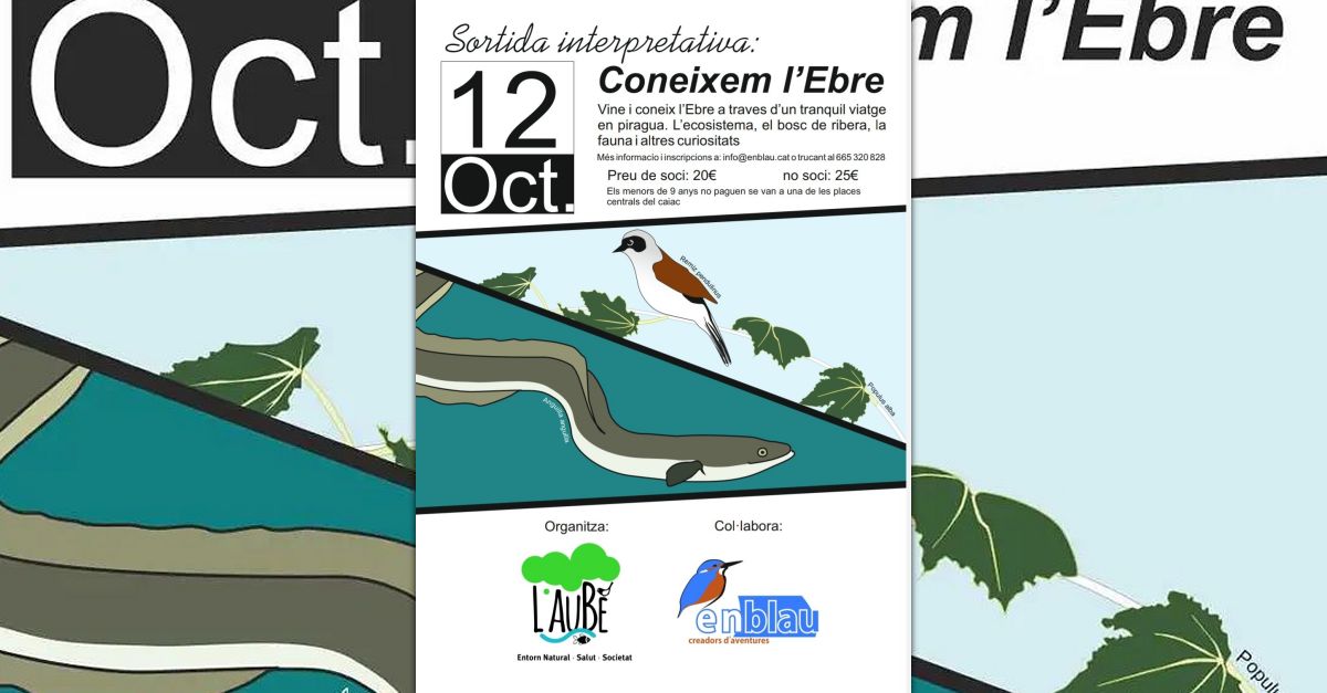 Sortida interpretativa amb piragua: Coneixem l&rsquo;Ebre