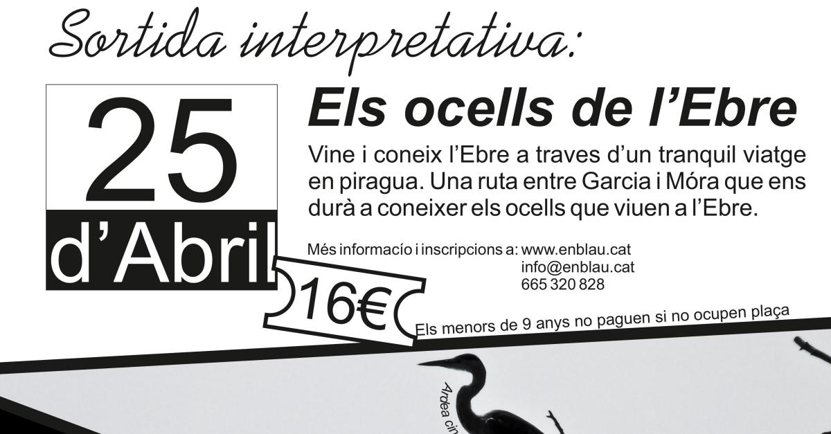 Salida interpretativa: Los p�jaros del Ebro