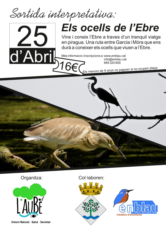 Sortida interpretativa: Els ocells de l’Ebre Sortida interpretativa: Els ocells de l’Ebre