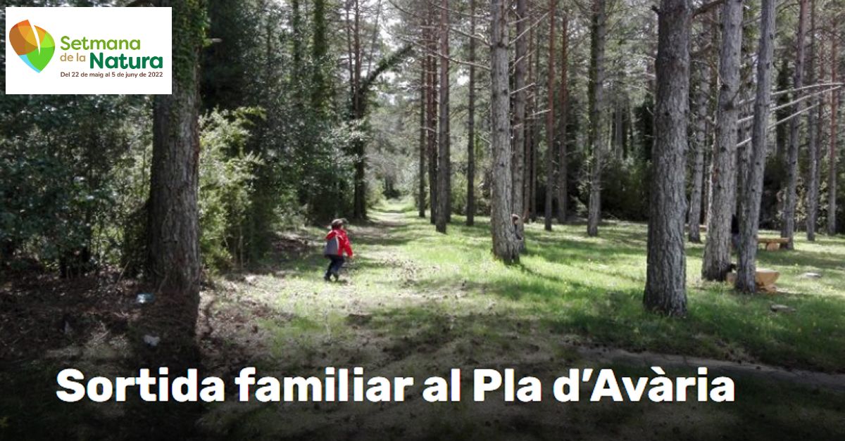 Setmana de la Natura: Caminada i descoberta de l�entorn en fam�lia