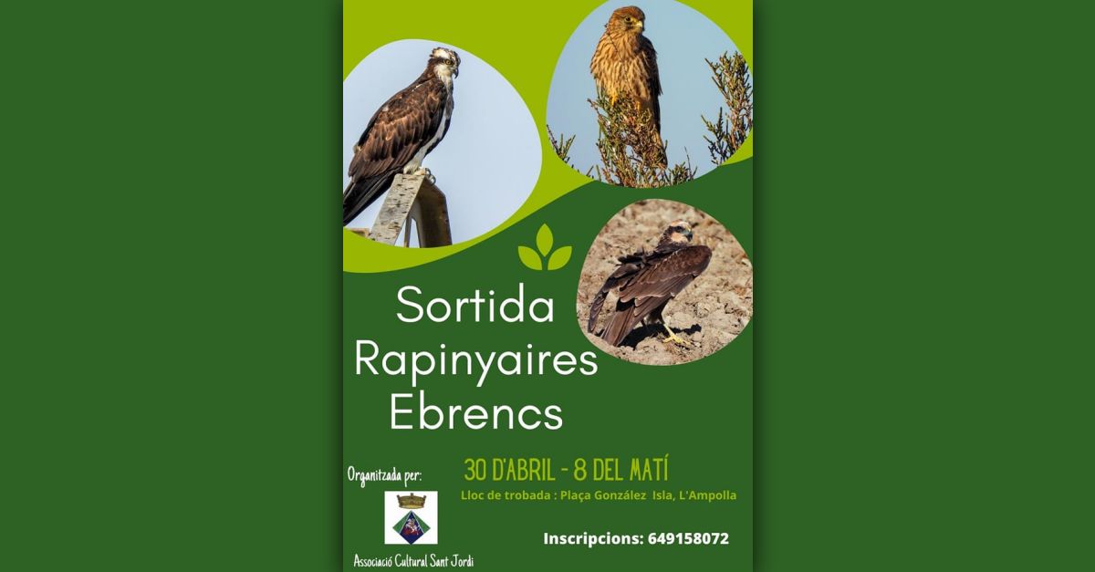 Sortida rapinyaires ebrencs Sortida rapinyaires ebrencs