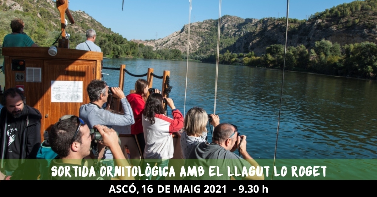Sortida ornitol�gica amb el llagut Lo Roget 
