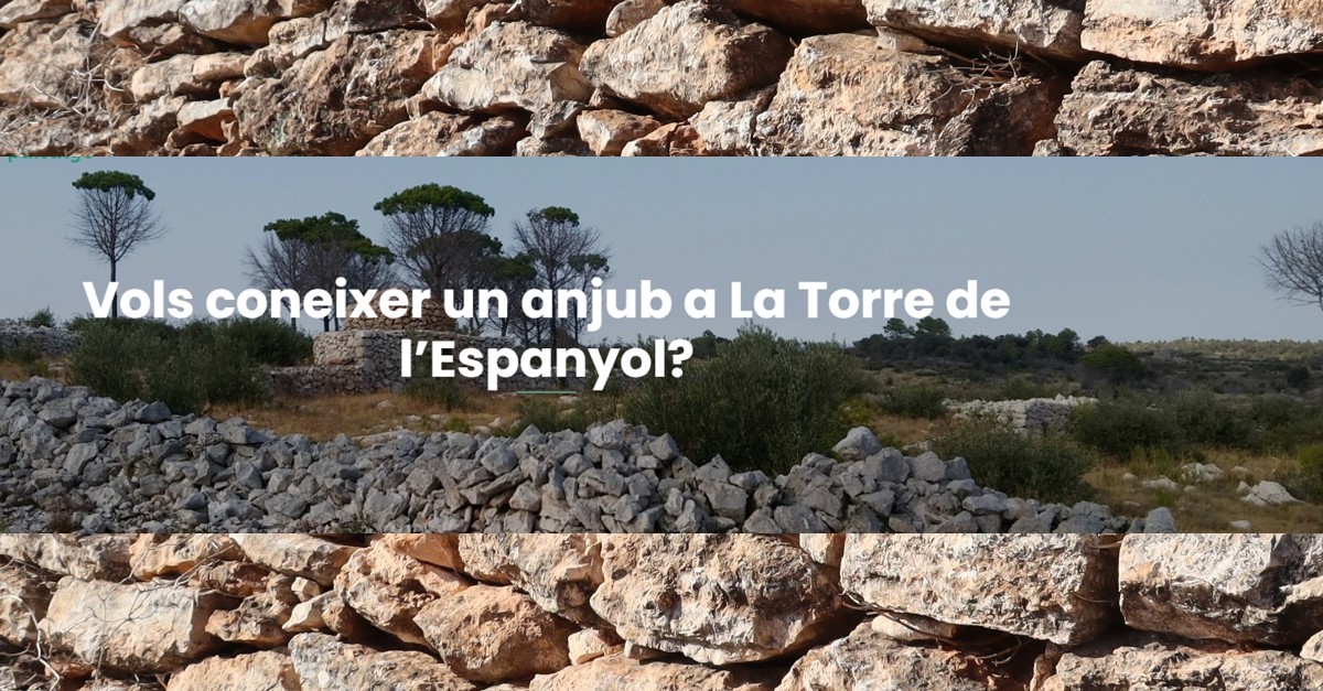 Salida por el t�rmino de la Torre de l&rsquo;Espanyol para conocer un aljub