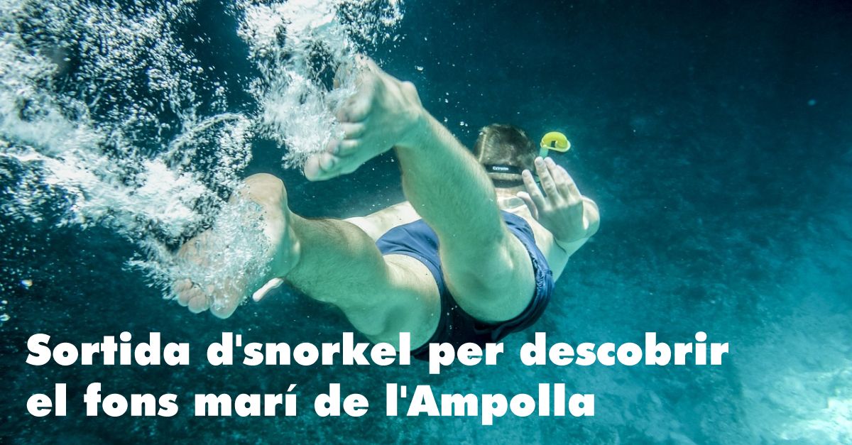 Salida de snorkel para descobrir el fondo marino de l�Ampolla
