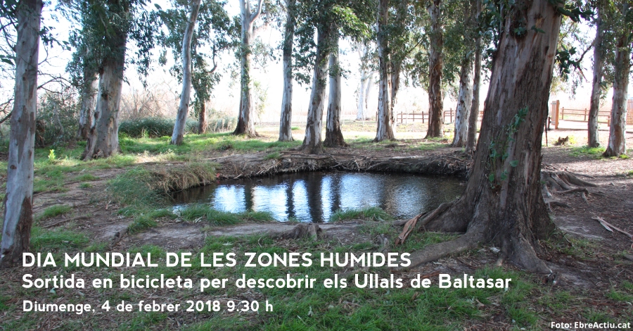 Sortida en bicicleta per descobrir els Ullals de Baltasar (Dia Mundial de les Zones Humides) Sortida en bicicleta per descobrir els Ullals de Baltasar (Dia Mundial de les Zones Humides)