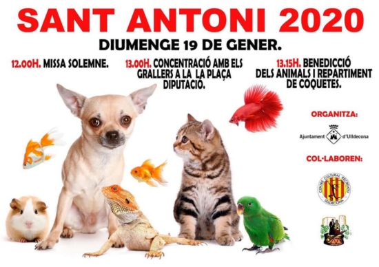 Sant Antoni 2020 Ulldecona Sant Antoni 2020 Ulldecona