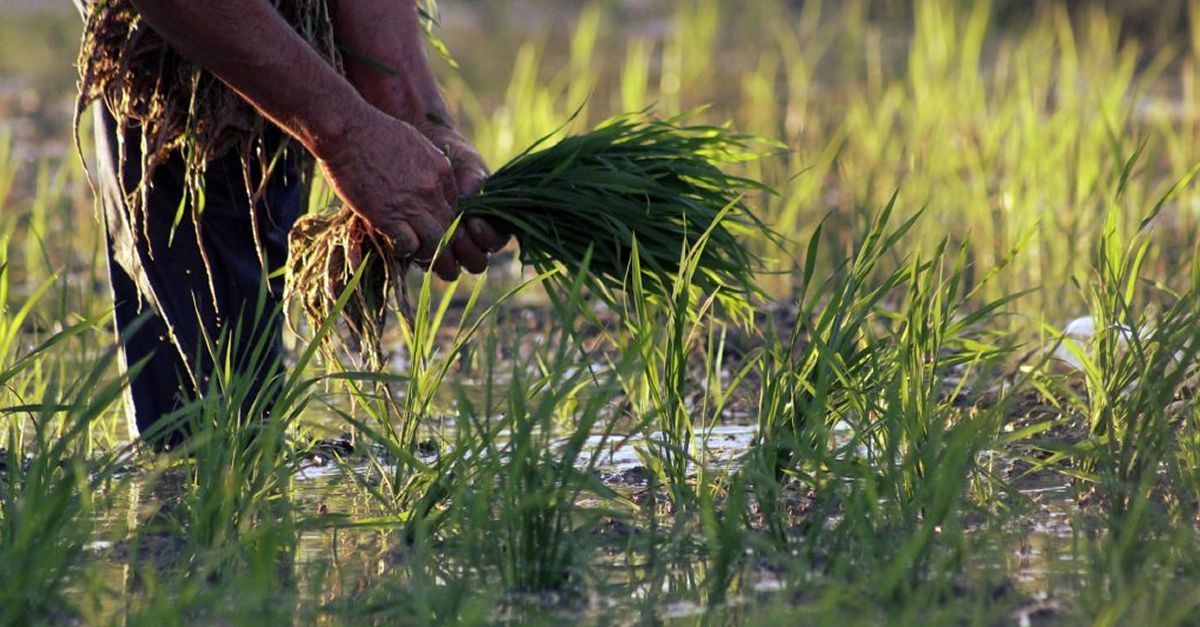 Sant Jaume d’Enveja es prepara per a un cap de setmana on les activitats tradicionals seran les protagonistes | EbreActiu.cat, revista digital d’oci actiu | Terres de l’Ebre ...