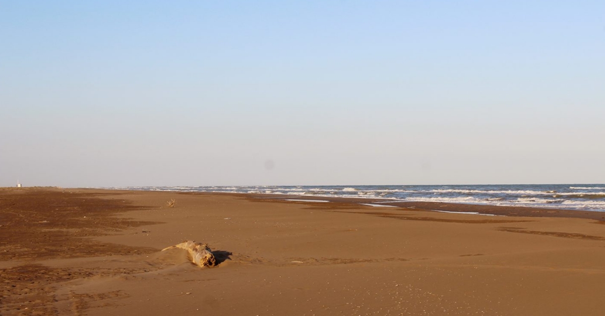 Sant Jaume d’Enveja regula l’s de les platges i del litoral del municipi | EbreActiu.cat, revista digital d’oci actiu | Terres de l’Ebre ...