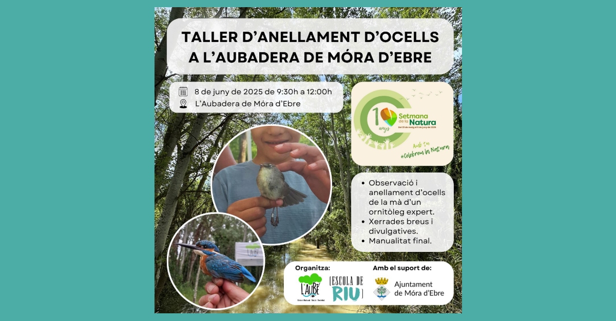 Taller d’anellament d’ocells Taller d’anellament d’ocells
