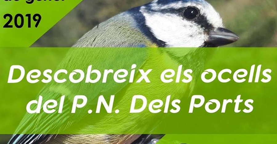 Descubre los p�jaros del Parc Natural dels Ports