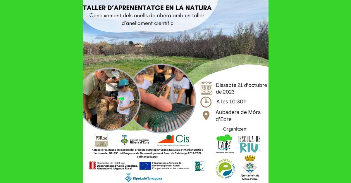 Taller d�aprenentatge en la natura