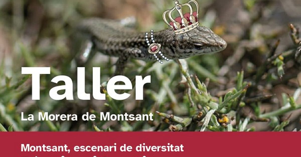 Taller creativo de cuentos naturalistas: B�sties i bestieses a Montsant