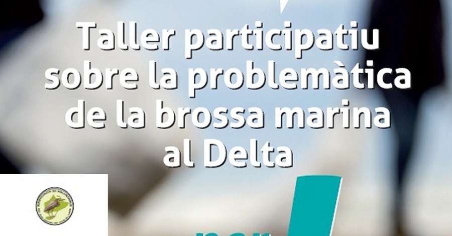 Taller participativo sobre la problem�tica de la basura marina al Delta