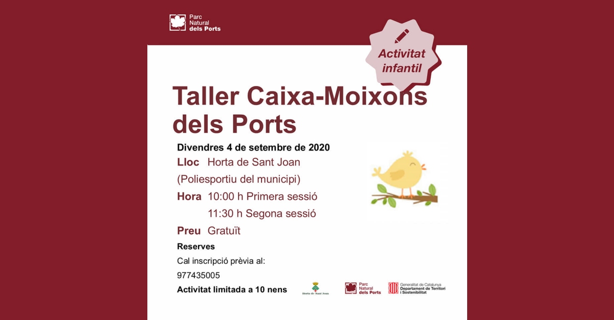 Taller caja-p�jaros dels Ports