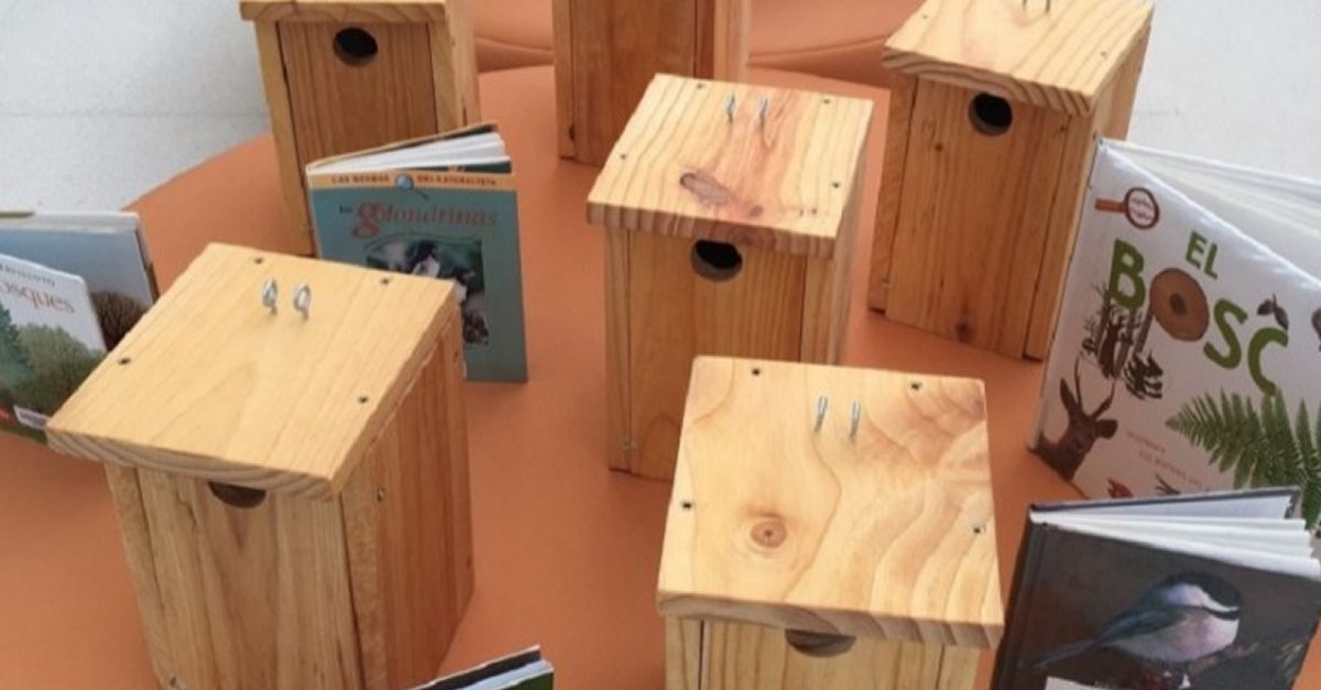 Taller ambiental: Caixes niu Taller ambiental: Caixes niu