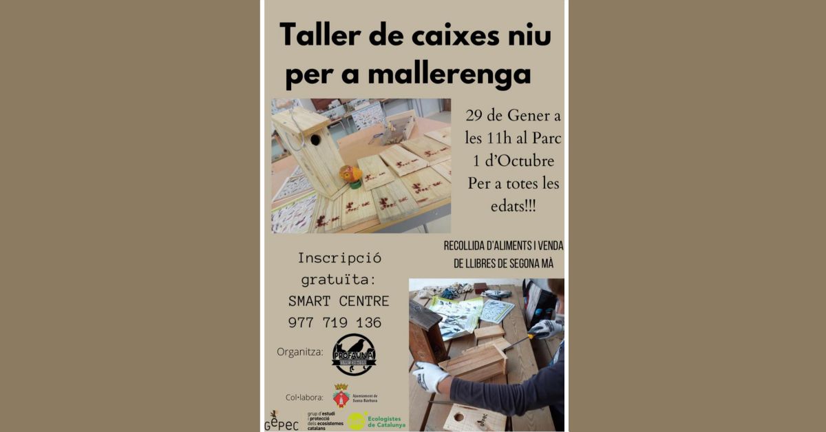 Taller de cajas nido para el carbonero com�n