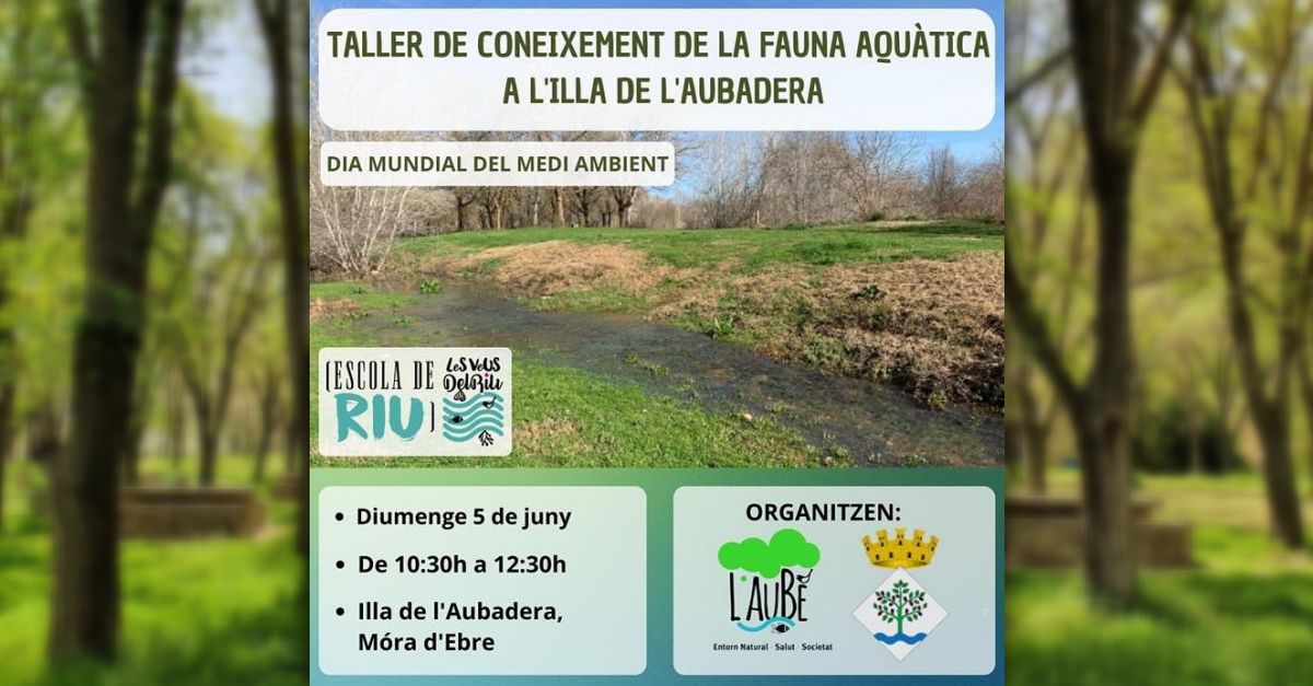 Taller de coneixement de la fauna aqu�tica a l�illa de l�Aubadera