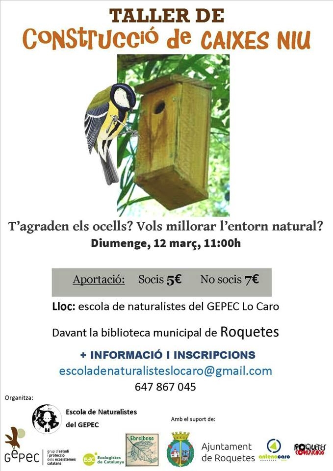 Taller de construcci� de caixes niu