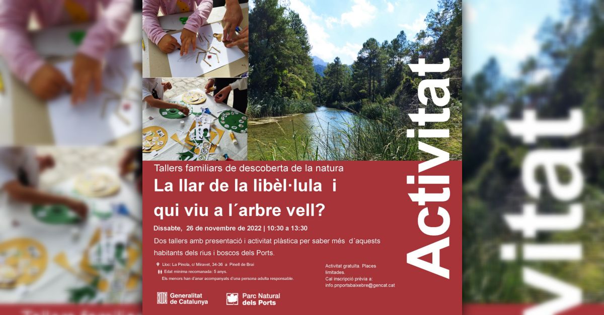 La llar de la libèl·lula i qui viu a l’arbre vell? La llar de la libèl·lula i qui viu a l’arbre vell?