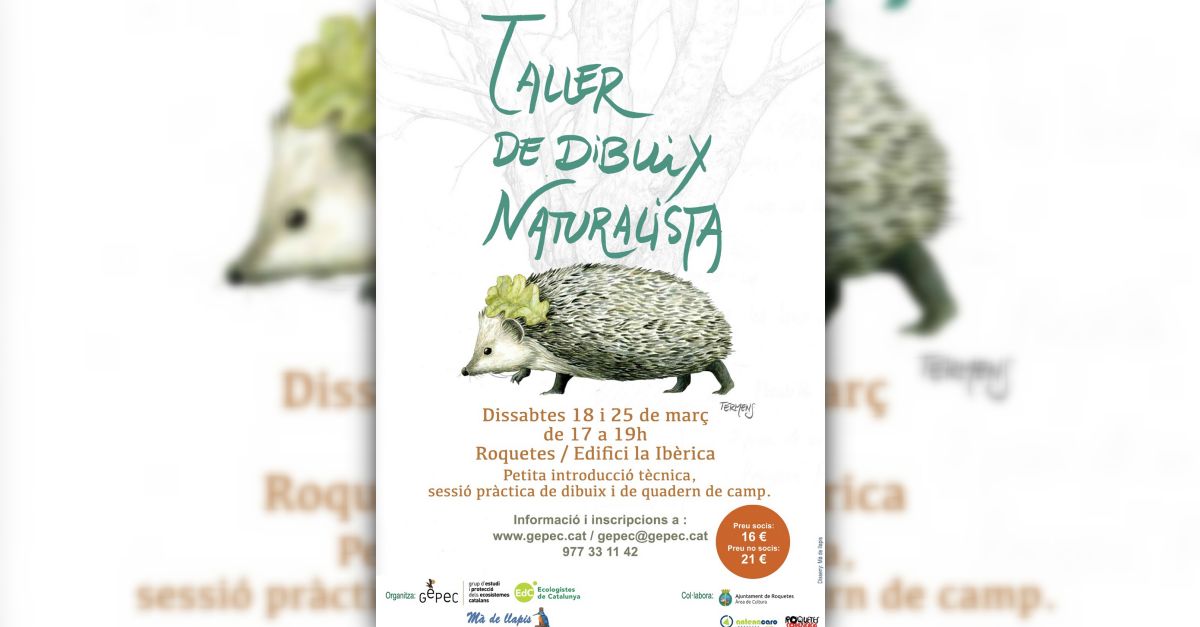Taller de dibuix naturalista a Roquetes Taller de dibuix naturalista a Roquetes