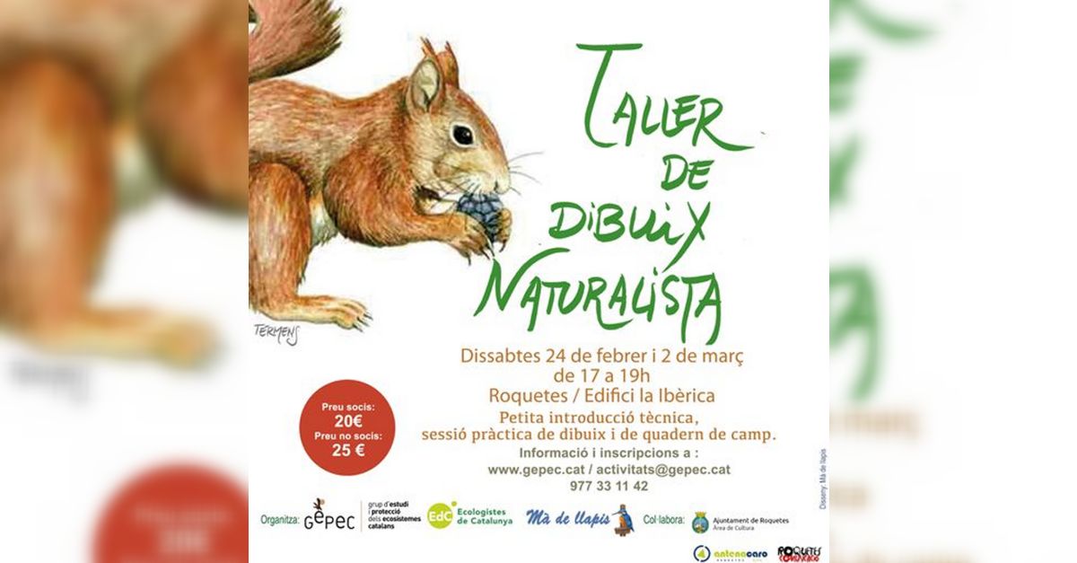 Taller de dibuix naturalista Taller de dibuix naturalista