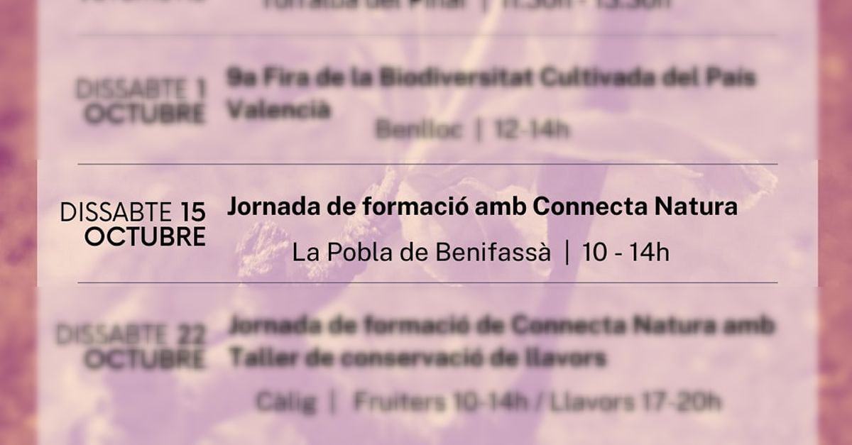 Taller d�empelts i conservaci� de fruiters