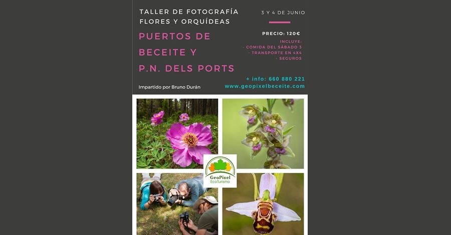 Taller de fotografia flors i orquídies per Beseit i pel Parc Natural dels Ports Taller de fotografia flors i orquídies per Beseit i pel Parc Natural dels Ports