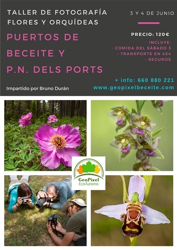 Taller de fotografia flors i orquídies per Beseit i pel Parc Natural dels Ports Taller de fotografia flors i orquídies per Beseit i pel Parc Natural dels Ports