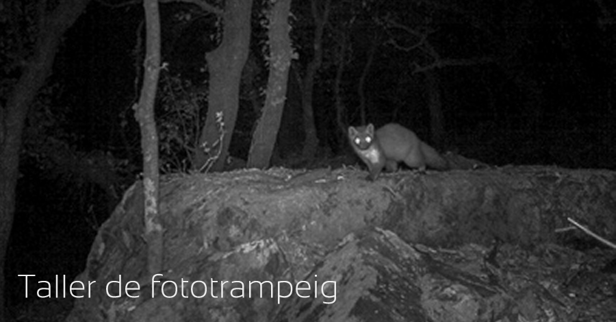 Taller de fototrampeig Taller de fototrampeig