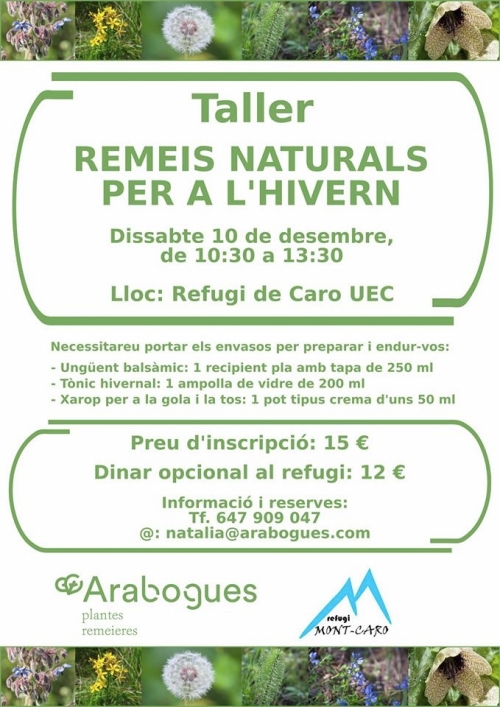 Taller: Remeis naturals per a l’hivern Taller: Remeis naturals per a l’hivern