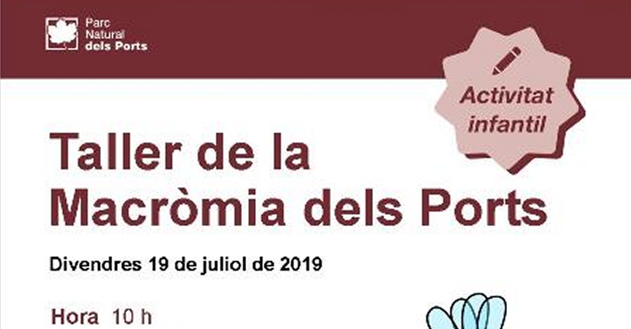 Taller de la Macromia dels Ports Taller de la Macromia dels Ports