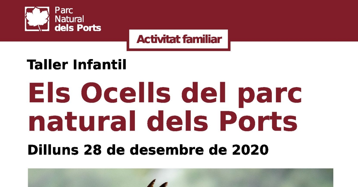 Taller infantil: Los p�jaros del Parque Natural dels Ports