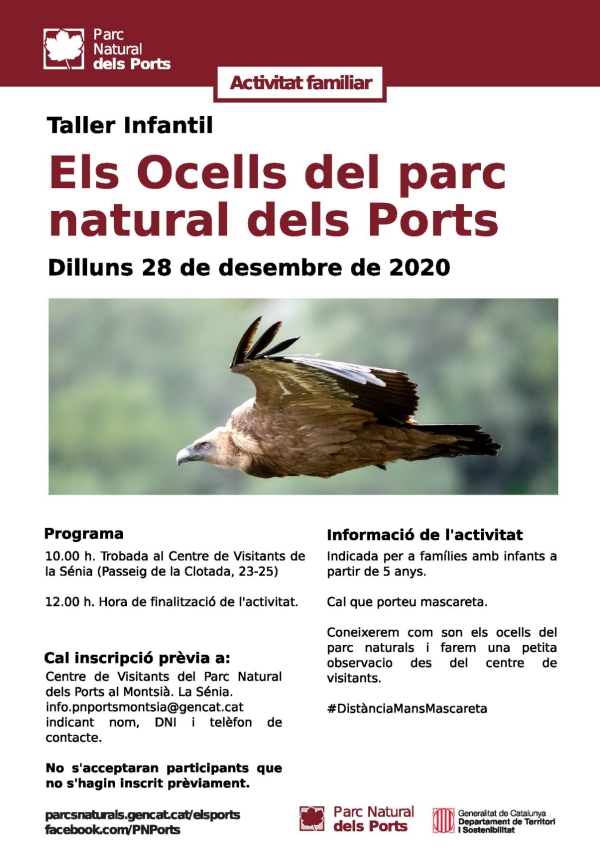Taller infantil: Els ocells del Parc Natural dels Ports Taller infantil: Els ocells del Parc Natural dels Ports
