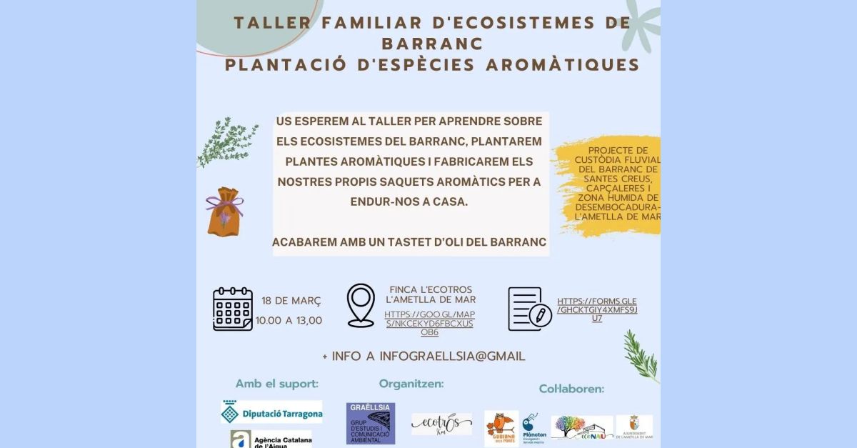 Taller familiar de ecosistemas de barranco. Plantaci�n de especies arom�ticas